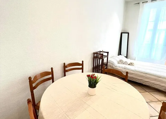 Historic & Spacious Flat W Balcony In Central Nice